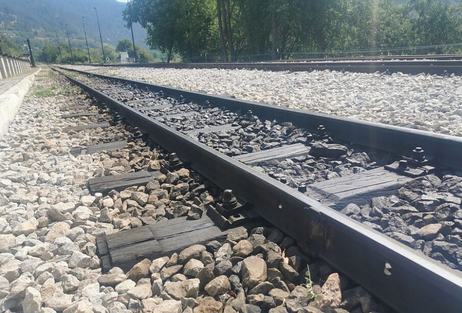 Preuzeto sa izvora: Foto: 021.rs/ilustracija