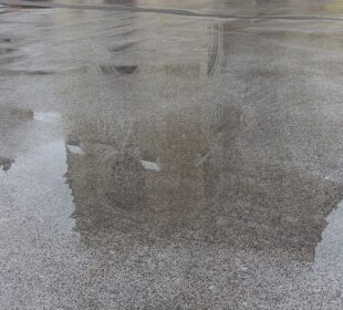 Preuzeto sa izvora: Foto: 021.rs