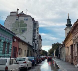 Preuzeto sa izvora: Foto: 021.rs