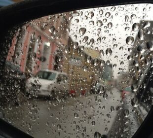 Preuzeto sa izvora: Foto: 021.rs