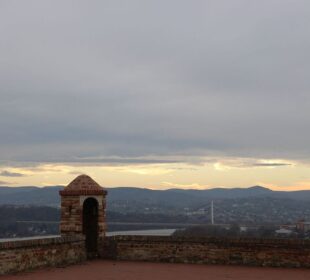 Preuzeto sa izvora: Foto: 021.rs