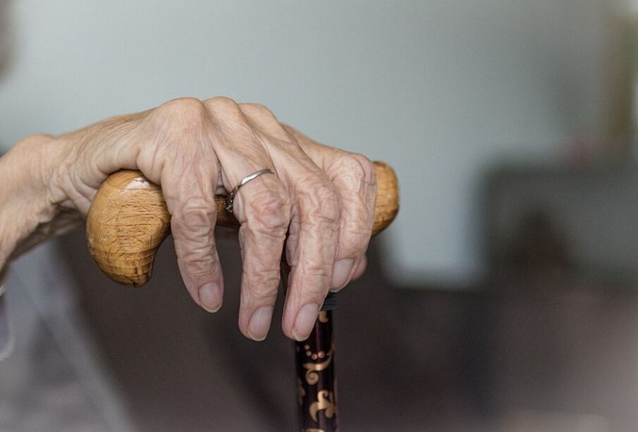 Preuzeto sa izvora: Foto: Pixabay