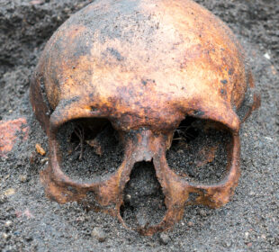 Foto: Esben_H/iStock/Getty Images Plus